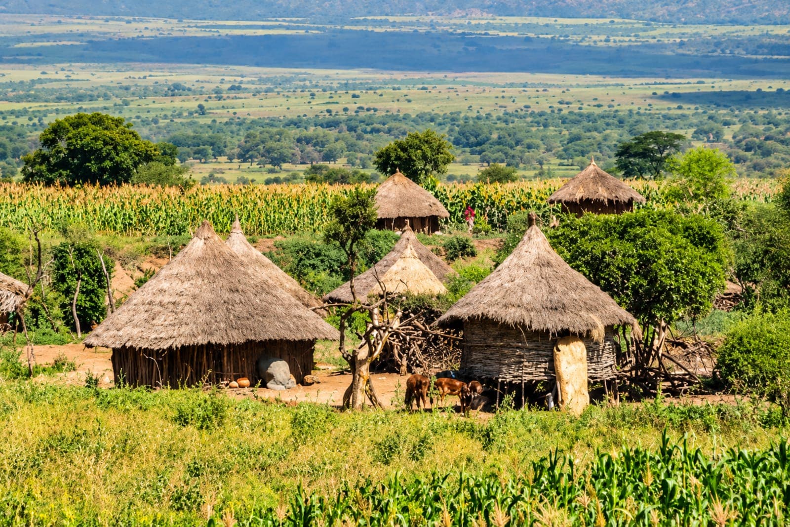 Konso, Äthiopien